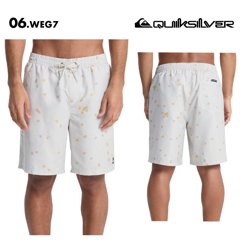 QUIKSILVER/クイックシルバー メンズ サーフパンツ EVERYDAY PRINTED