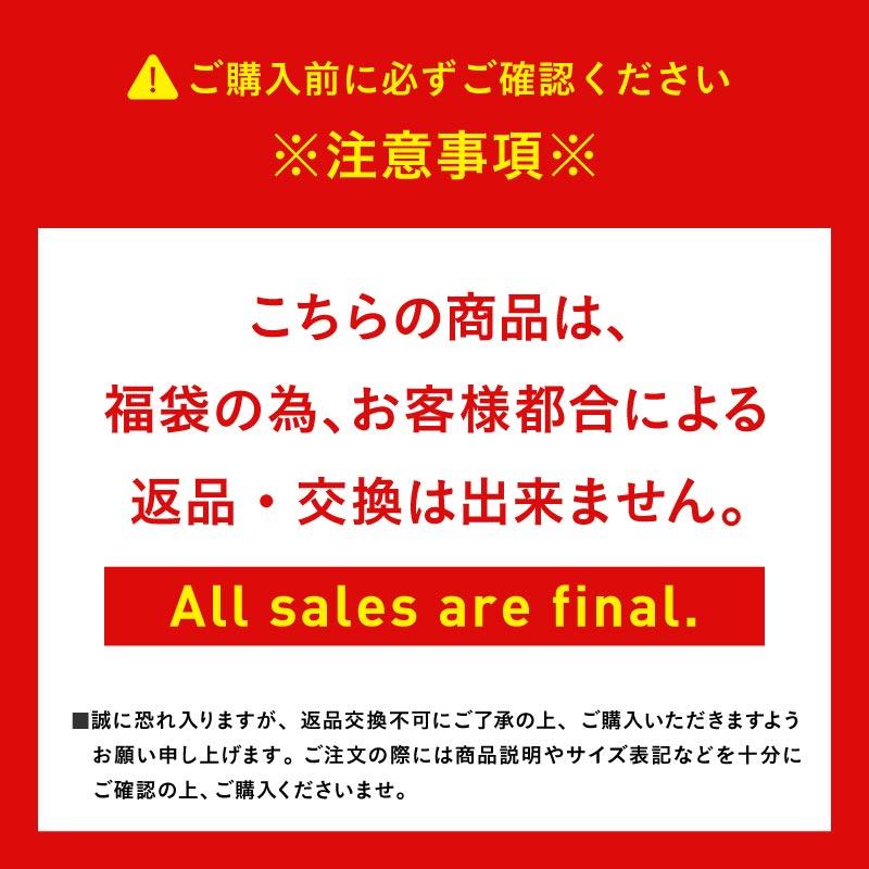 [福袋 返品不可] 3点セット レンタルよりお得 スノーボードウェア メンズ スノージャケット + スノーパンツ + ゴーグル  PONTAPES/ポンタぺス PSET-24_3