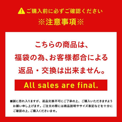 [福袋 返品不可] 3点セット レンタルよりお得 スノーボードウェア メンズ スノージャケット + スノーパンツ + ゴーグル  PONTAPES/ポンタぺス PSET-24_3