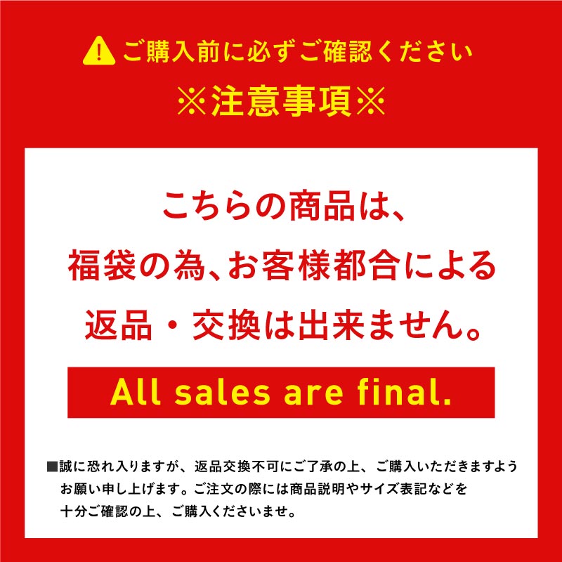 5点セット スノーボードウェア メンズ レディース スキーウェア ボードウェア スノボウェア 上下セット 無地 スノボー スノー ウェア PSET-2324