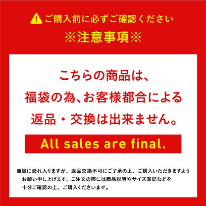 5点セット レンタルよりお得 スノーボードウェア 上下セット レディース スノーウェア スキーウェア スノボウェア ICEPARDAL アイスパーダル ISET-2324