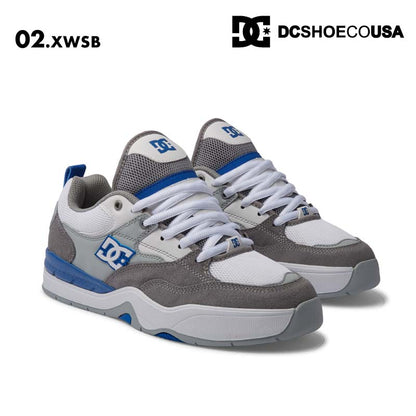 DC SHOES/ディーシー メンズ スケートボード シューズ DC ASCEND 2024 FALL DM244004 靴 運動靴 軽量 スニーカー スケシュー クッション スケボー ローカット ブランド 男性用