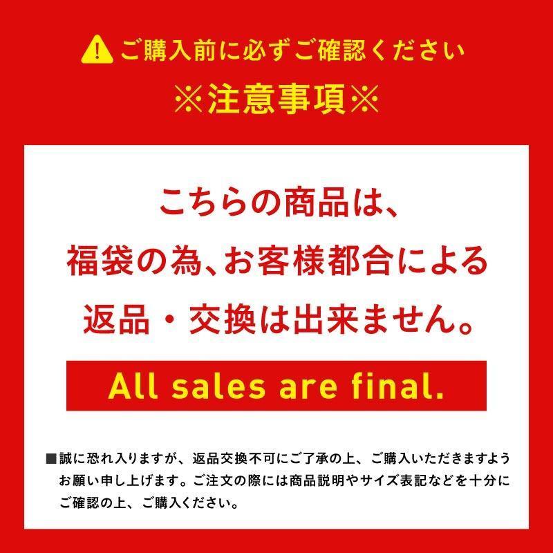 レンタルよりお得 福袋 Happy Bag スノーウェア上下セット レディース スノージャケット スノーパンツ グローブ スノー小物 計5点 スノーボードウェア スキーウェアアイスパーダル